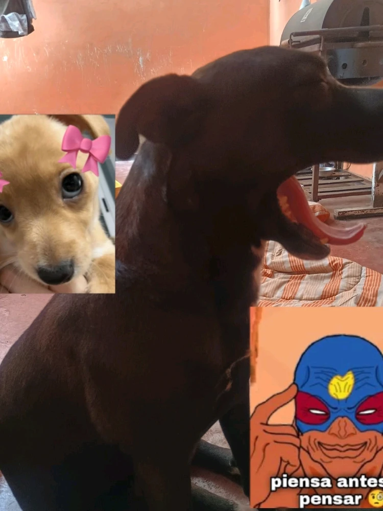 GIF subido por Alma errante