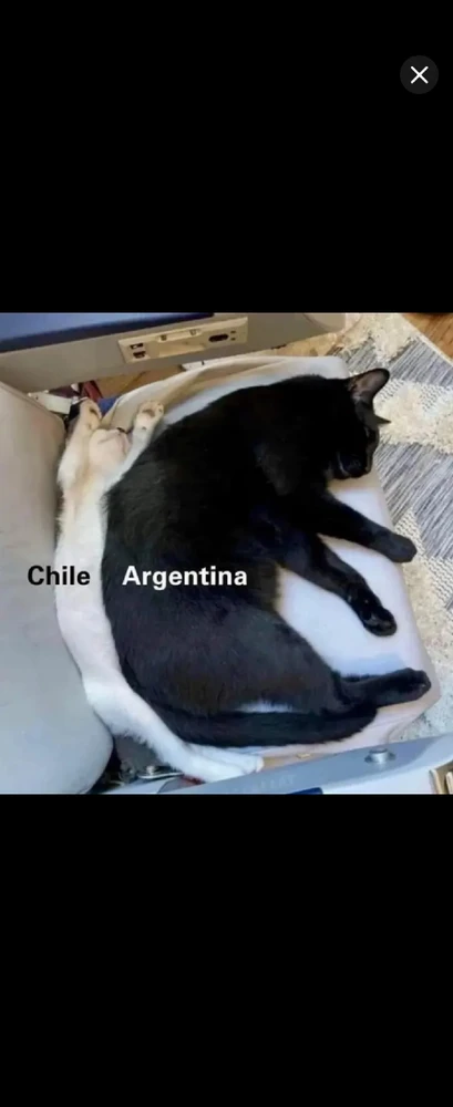 GIF uploaded by *JB* 🇬🇧🇬🇷