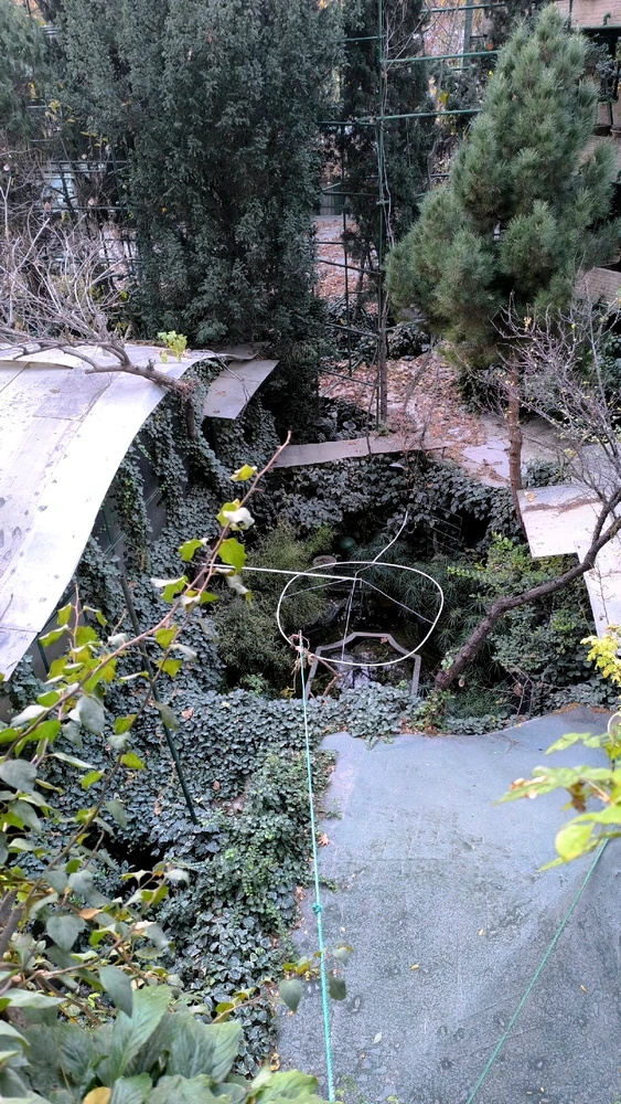 Image uploaded by Arghavan