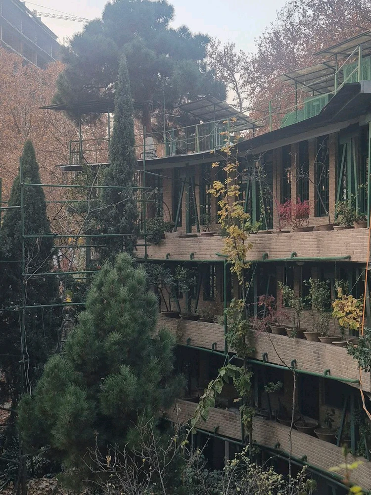 Image uploaded by Arghavan