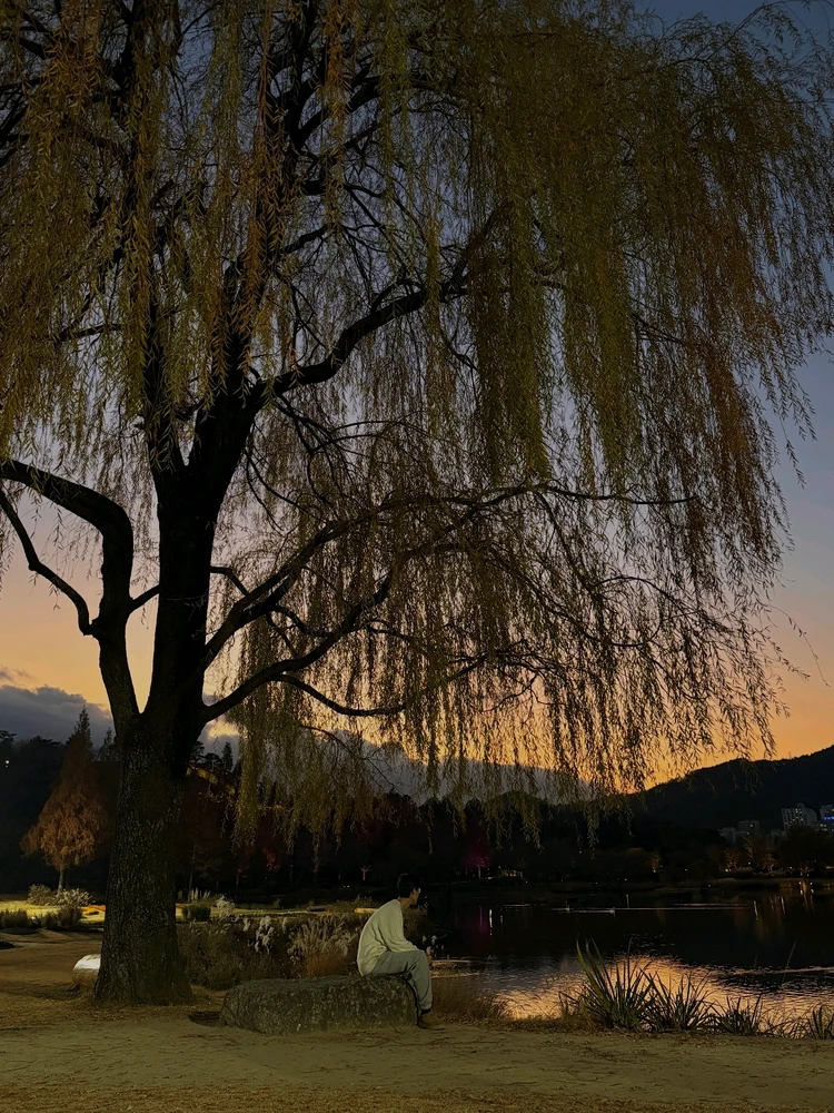 GYEONG YUN님이 올린 GIF