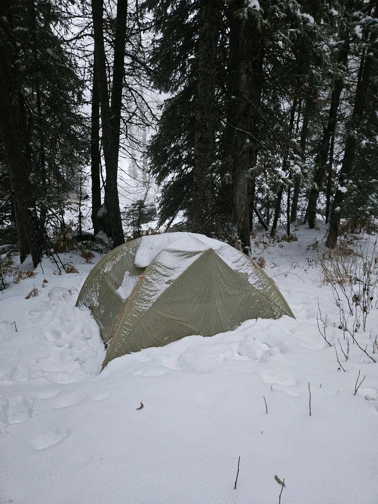 Image uploaded by Nick