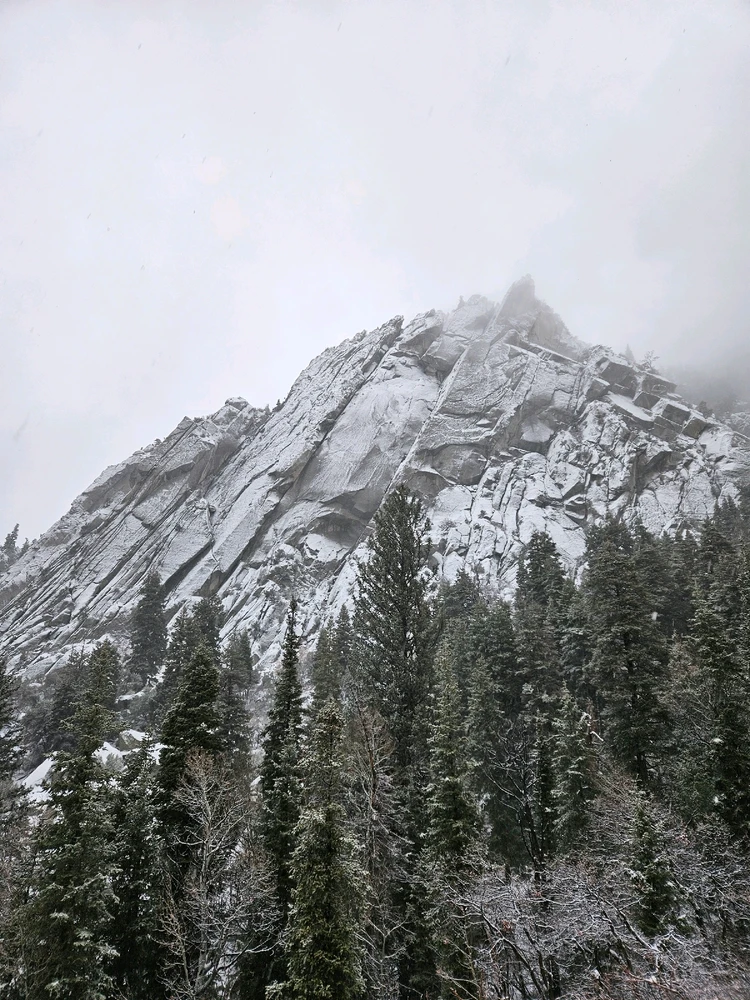 Image uploaded by Nick