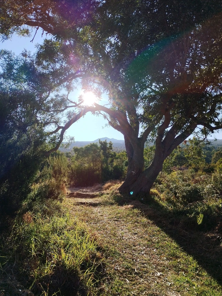 Image uploaded by Yo