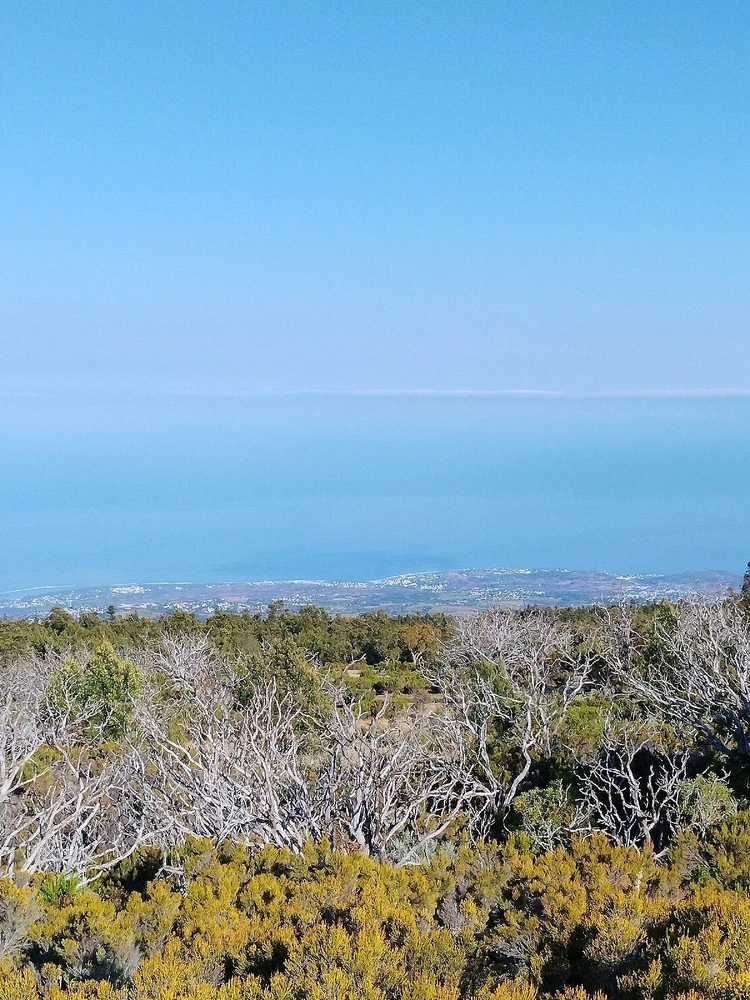 Image uploaded by Yo