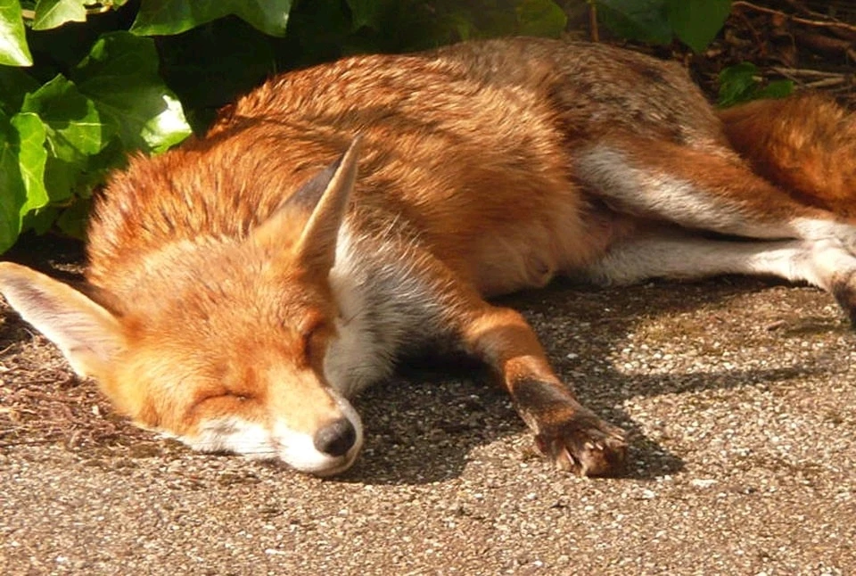 GIF uploaded by Makyra