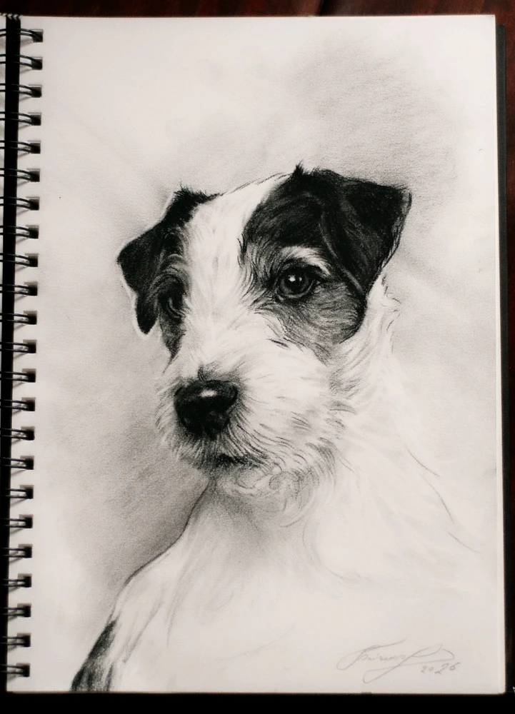 Гіфку завантажив Oleh