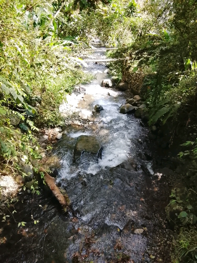 Imagen subida por Daniel