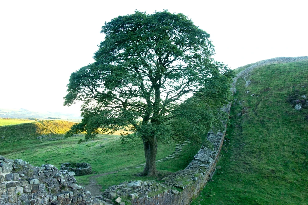 GIF uploaded by Chris