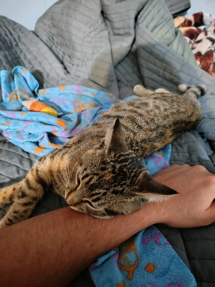 GIF uploaded by Winter