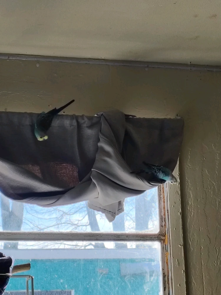 Image uploaded by Alexander Esteban