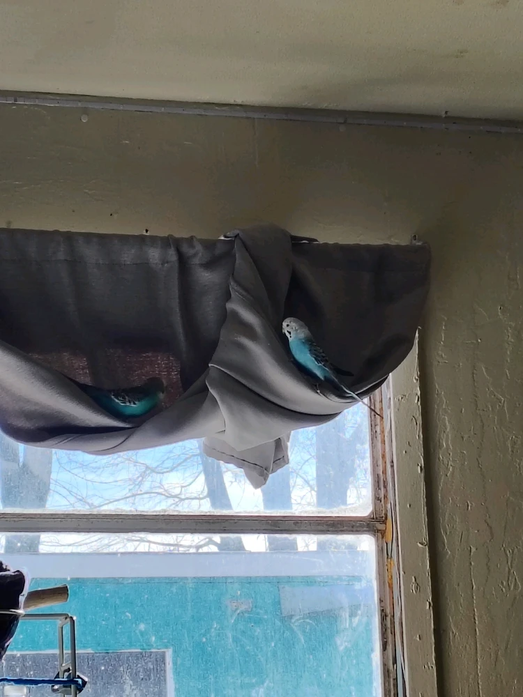 Image uploaded by Alexander Esteban