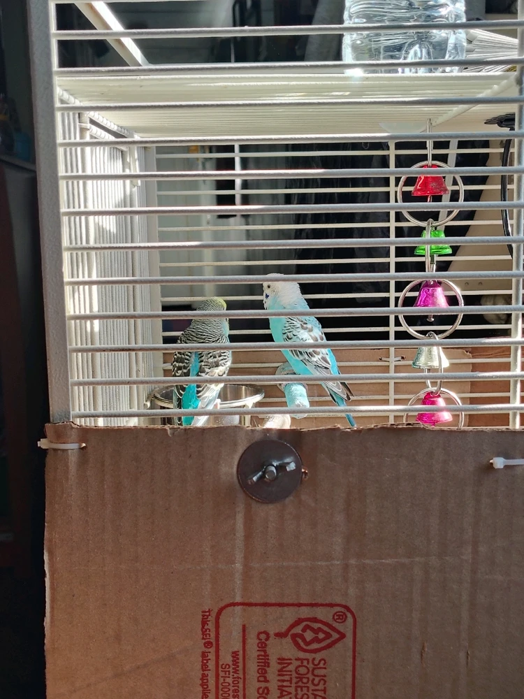 Image uploaded by Alexander Esteban