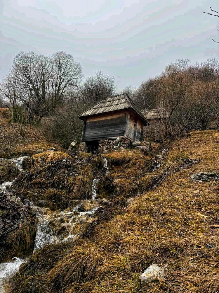 GIF uploaded by Pika