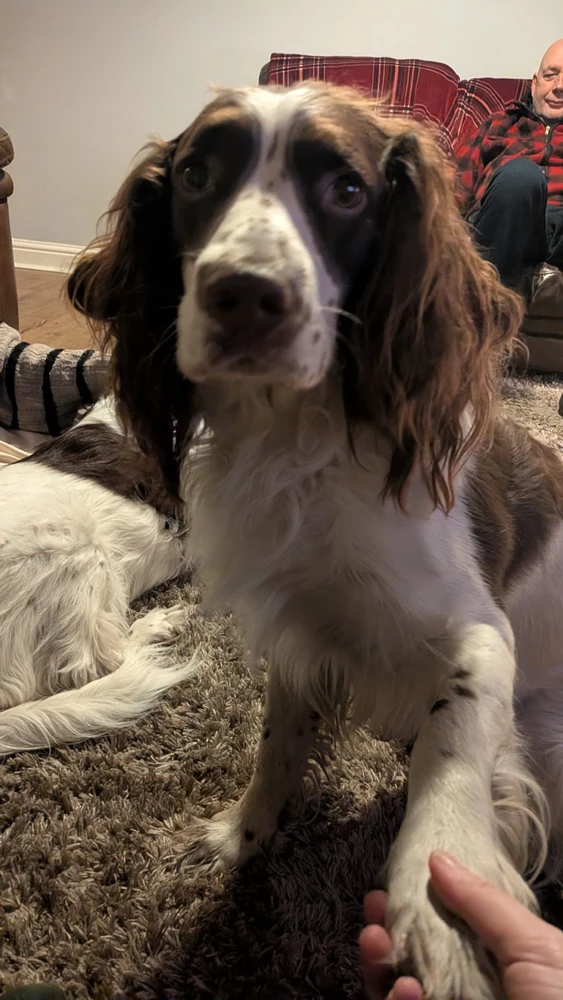 GIF uploaded by Leon Allen