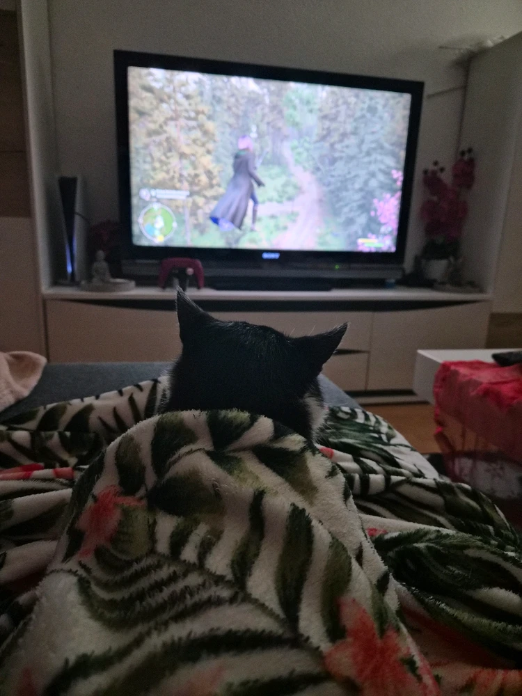 GIF hochgeladen von Jasmin