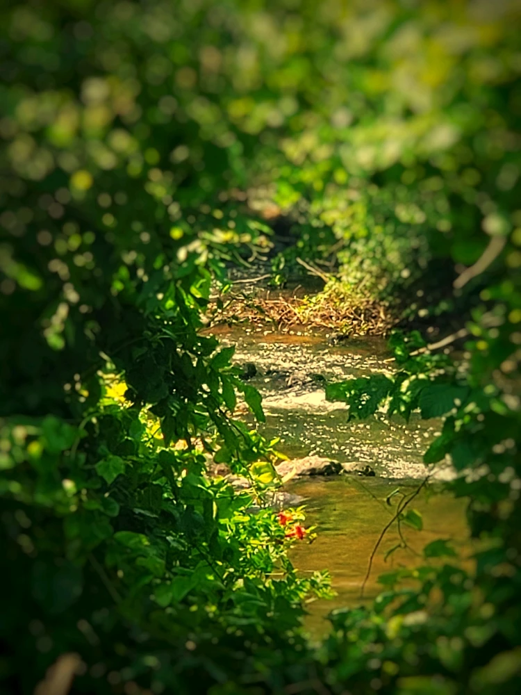 Image uploaded by Aaron