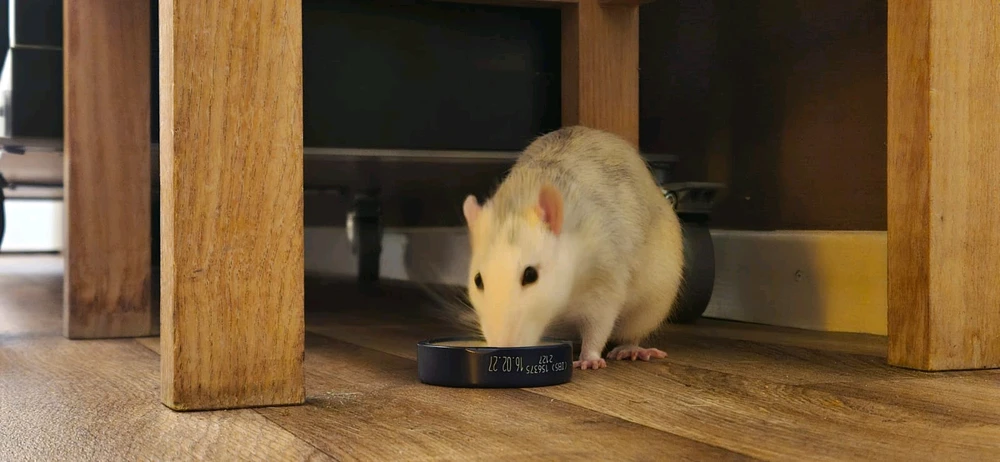 Bild hochgeladen von Luzi