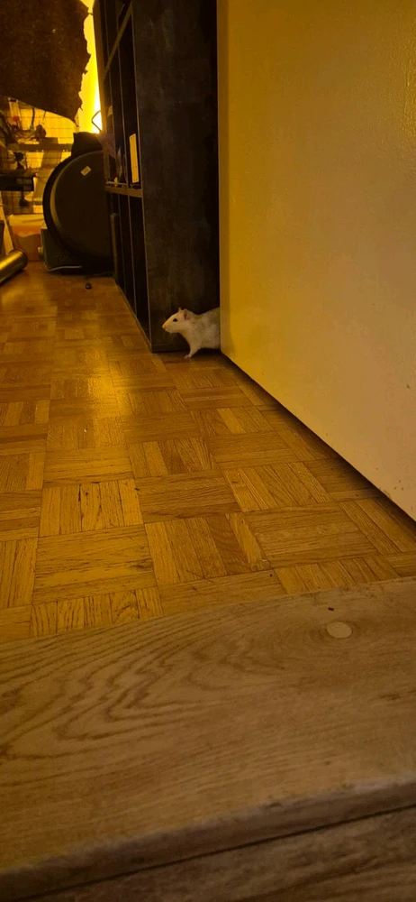 Bild hochgeladen von Luzi