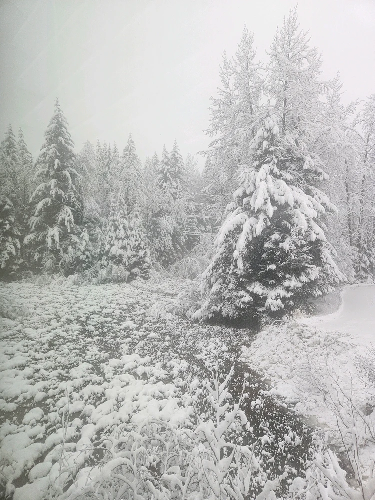 GIF uploaded by Taylor