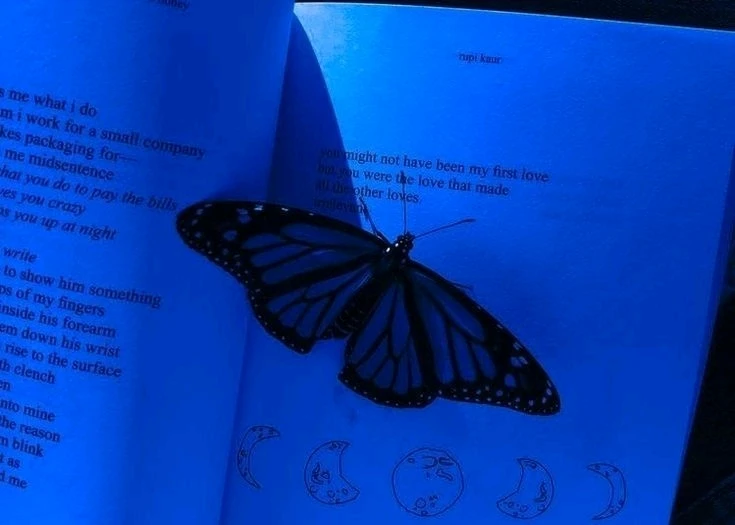 Image uploaded by Mikalob