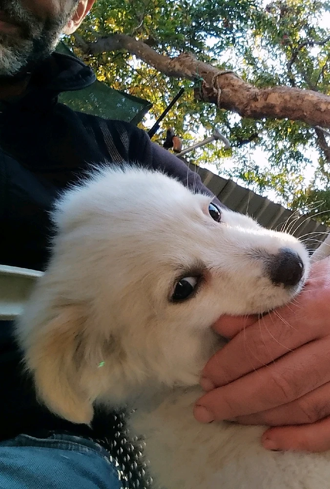 GIF uploaded by Thomas Anderson