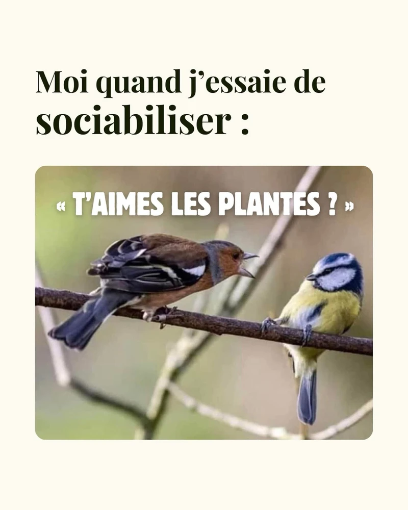 GIF ajouté par Benoît