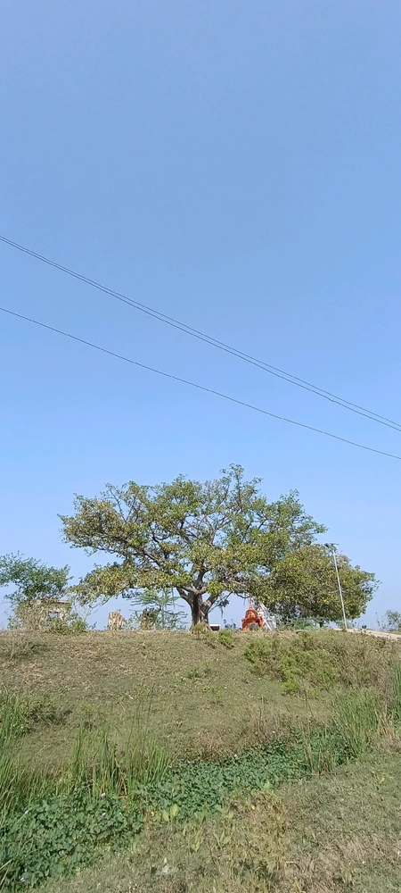 GIF uploaded by Maya