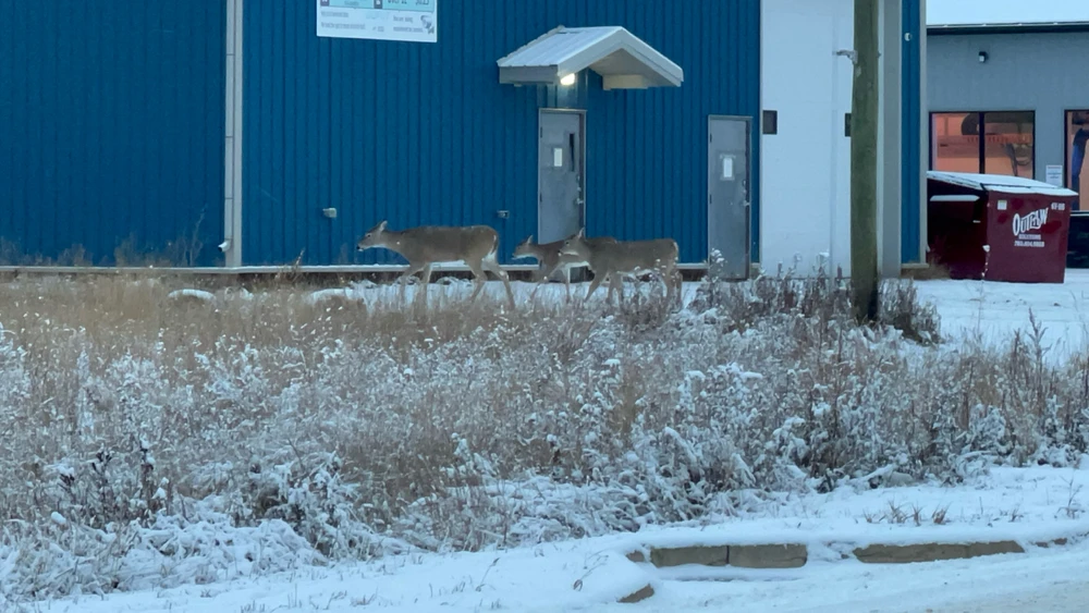 GIF uploaded by Victor