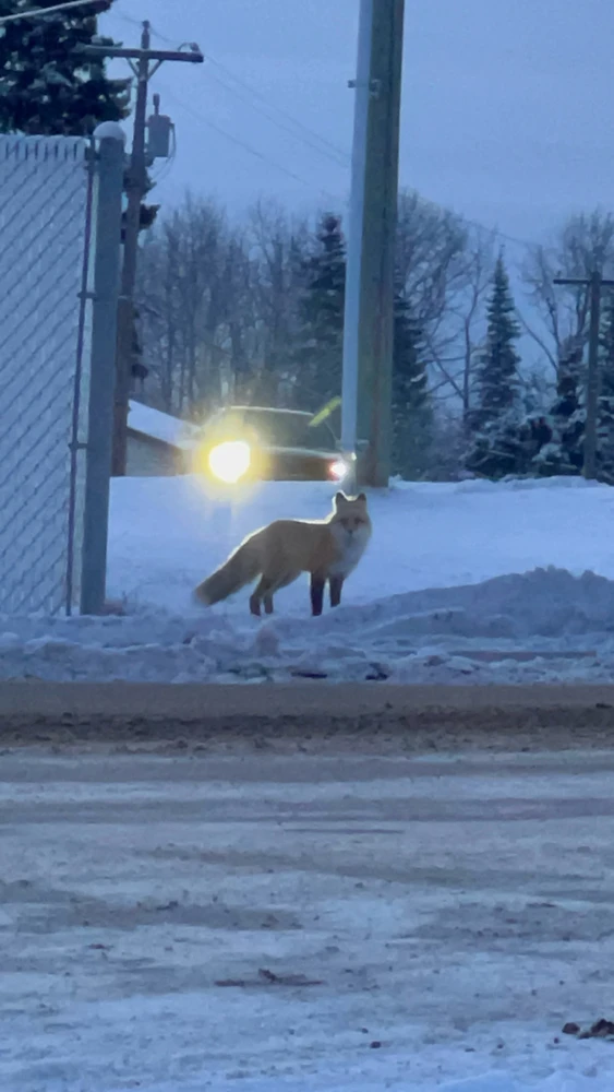 GIF uploaded by Victor