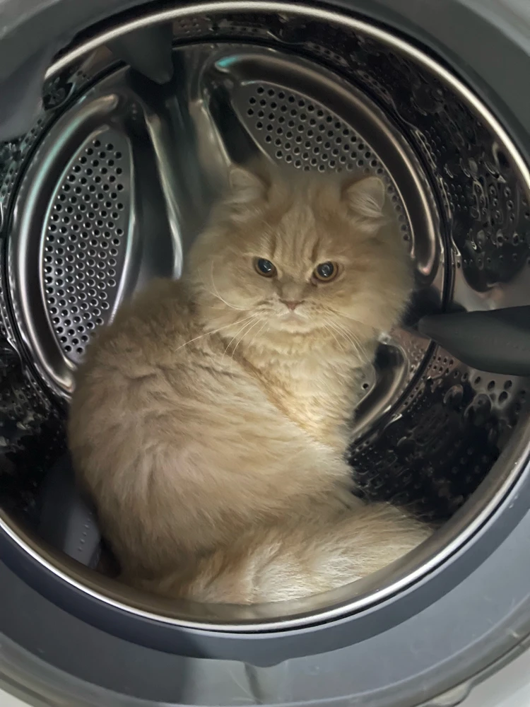 GIF uploaded by Weaam