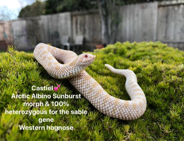 Image uploaded by Vel