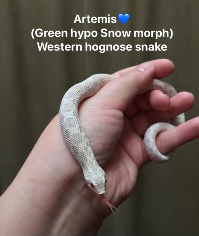 Image uploaded by Vel