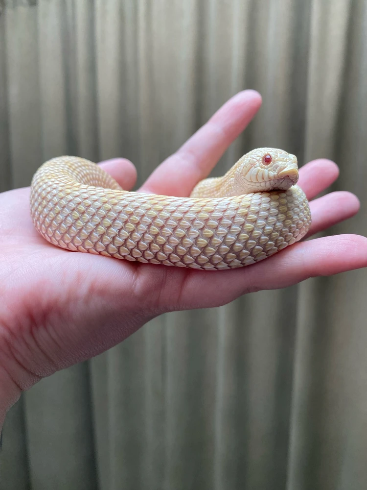 Image uploaded by Vel