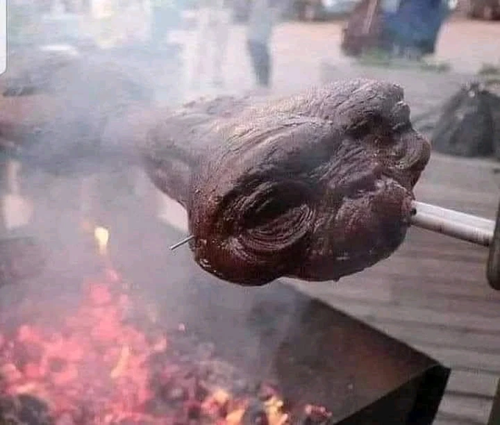 GIF dodany przez Tymianek