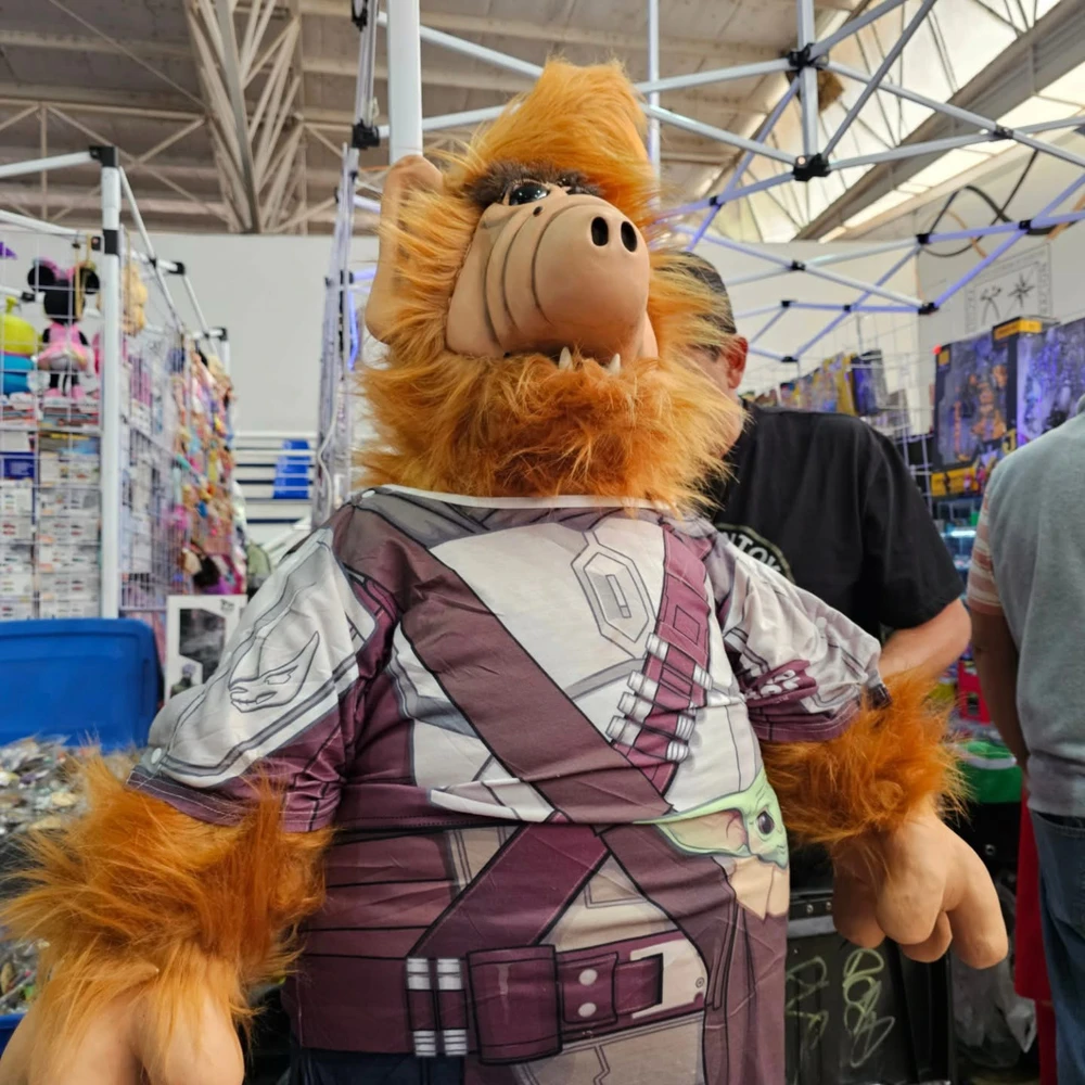 Imagen subida por Roberto