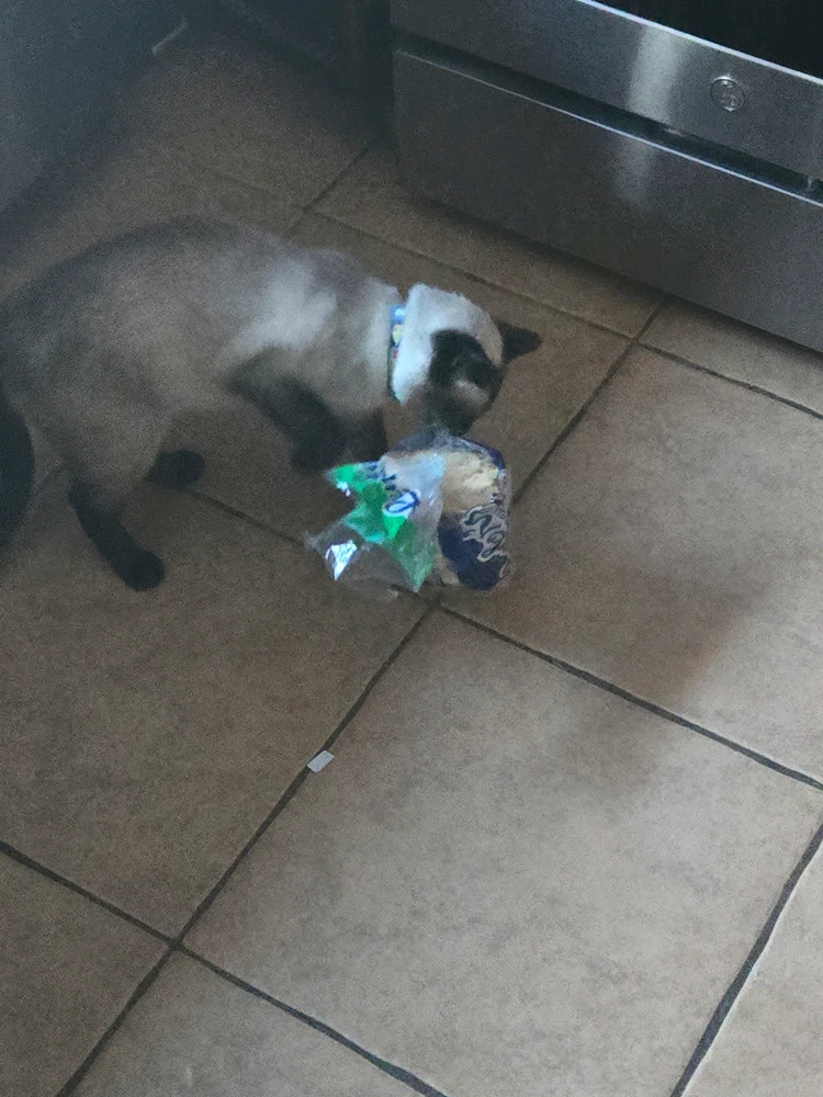 GIF uploaded by Jonathon