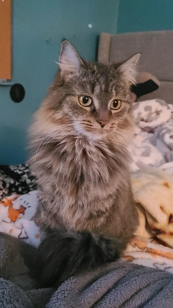 GIF uploaded by Jackson Watson