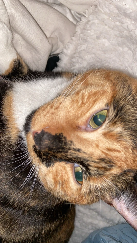 GIF uploaded by Rhys