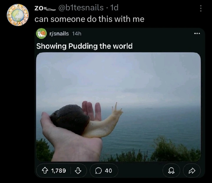 GIF uploaded by Marthan Cercal