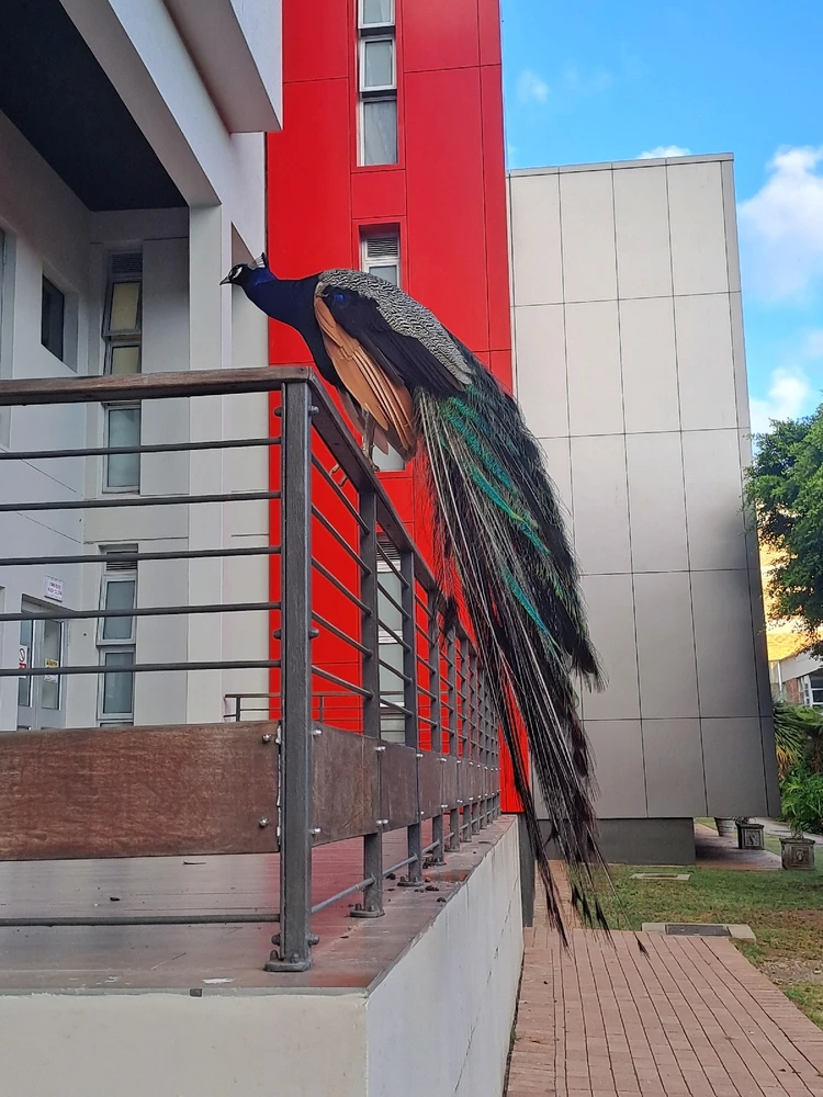 GIF uploaded by Sandz