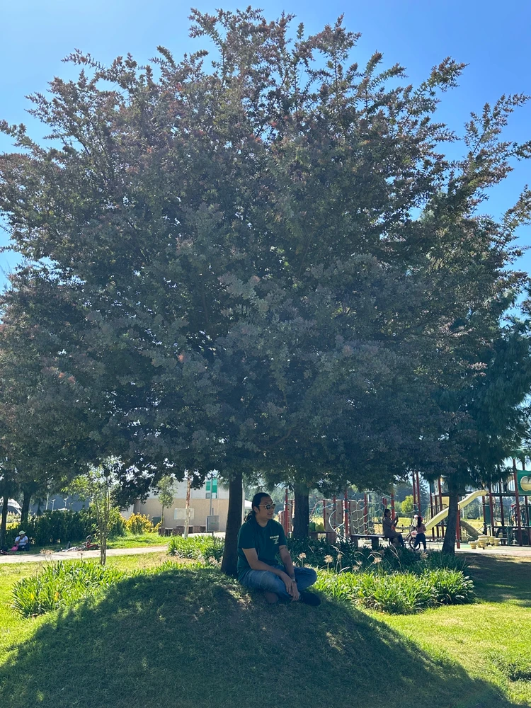 GIF uploaded by Hector