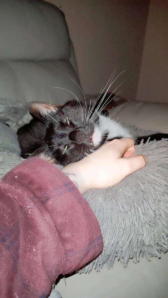 GIF uploaded by James