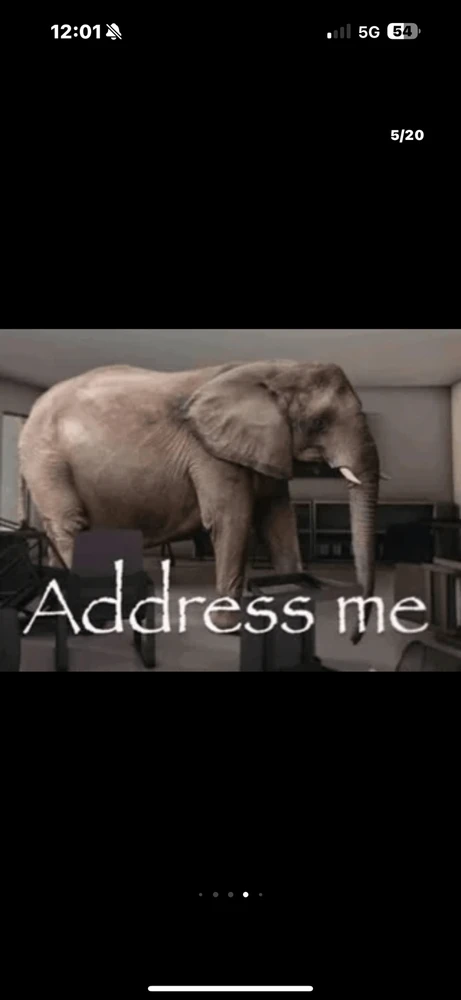 GIF uploaded by Noah