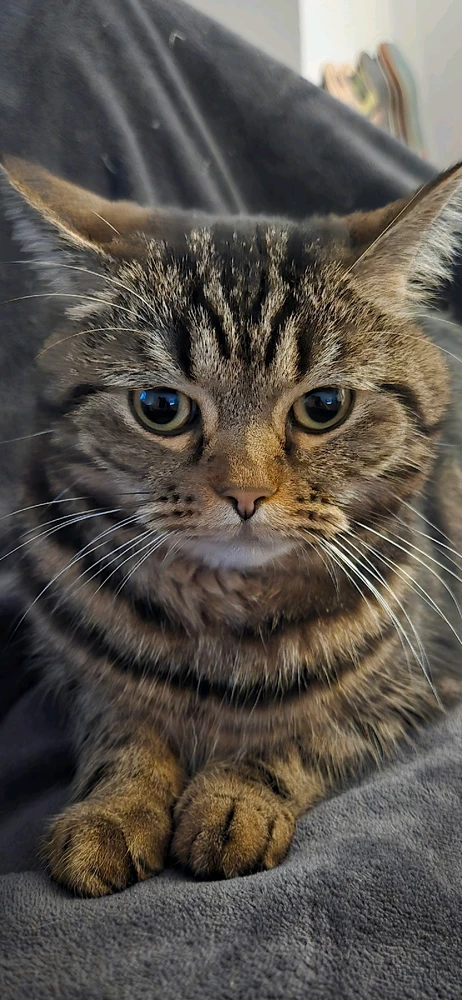 GIF hochgeladen von Jan