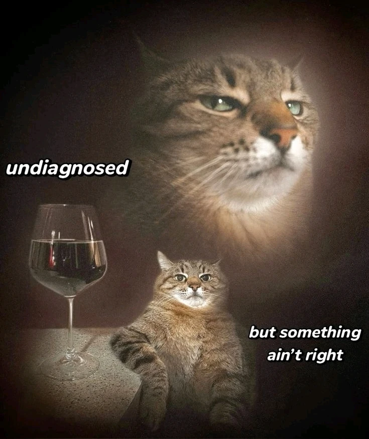 GIF uploaded by Luke