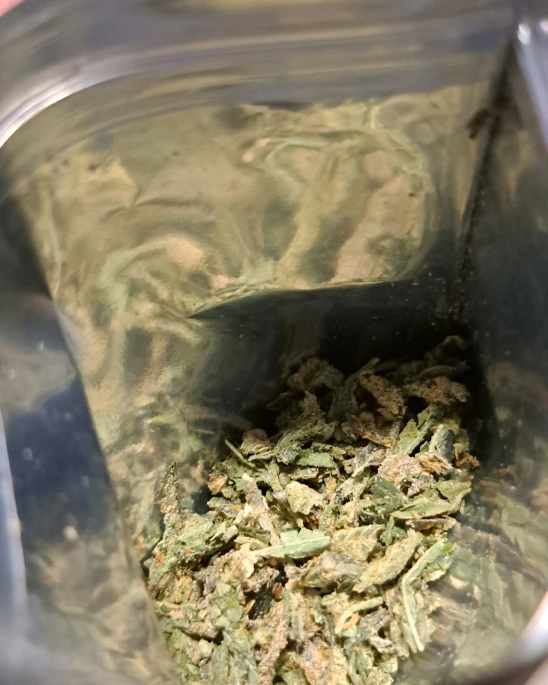 Image uploaded by Dee