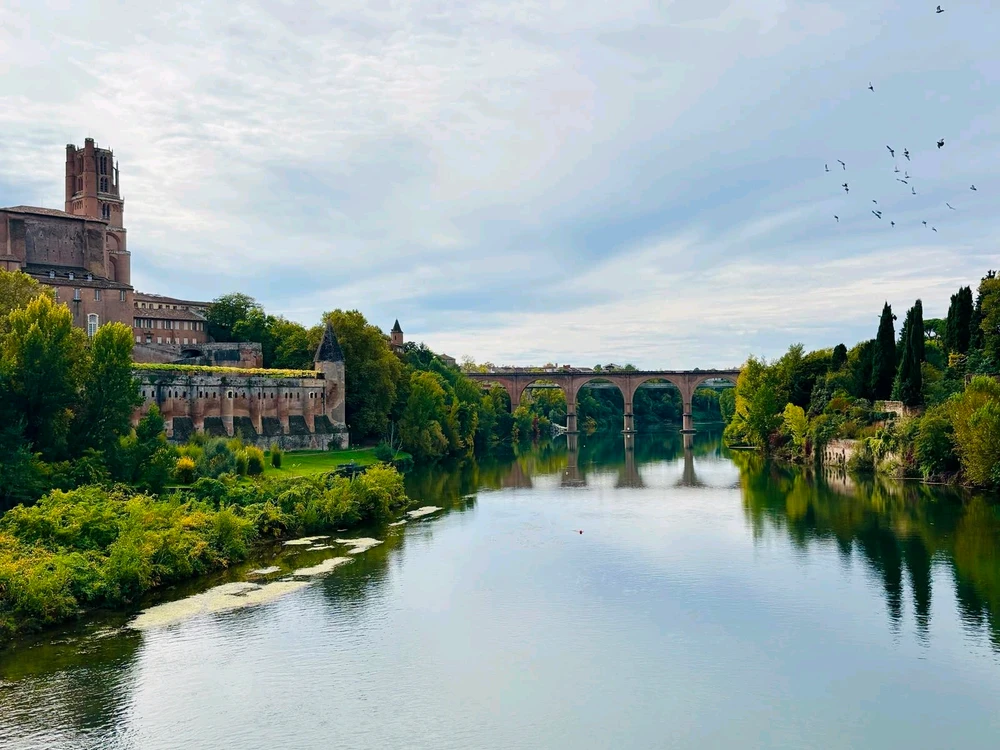 Image uploaded by Marko