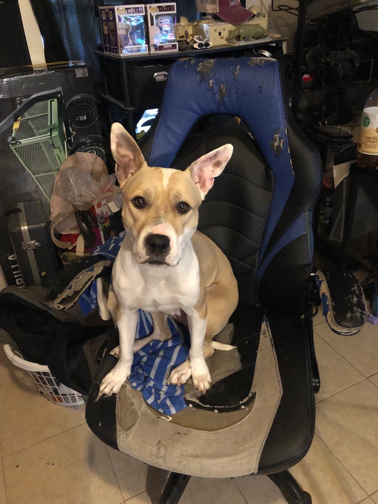 Image uploaded by Gabriel