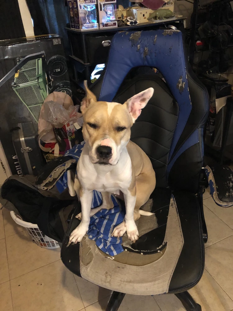 Image uploaded by Gabriel